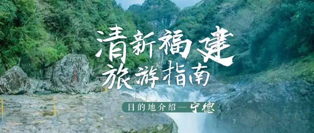植物大战僵尸9