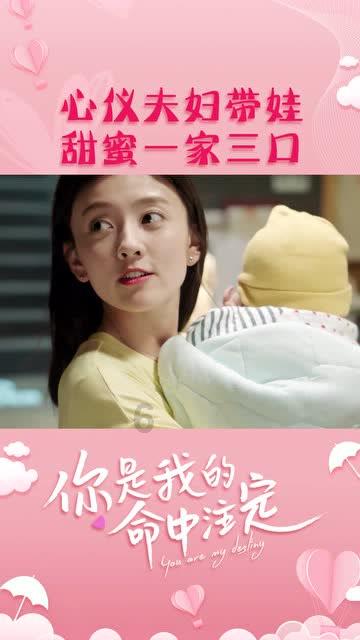 眼镜蛇秘密行动