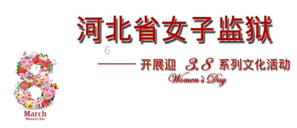 货柜装载软件有哪些?货柜装载软件哪个好用?